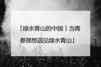 绿水青山的中国丨当青春理想遇见绿水青山