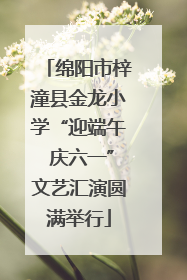 绵阳市梓潼县金龙小学“迎端午 庆六一”文艺汇演圆满举行