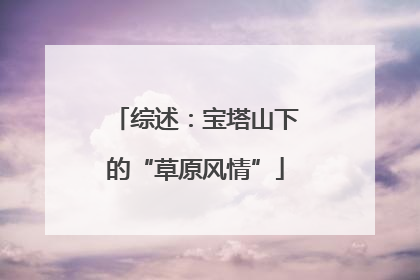 综述：宝塔山下的“草原风情”