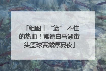 组图丨“篮” 不住的热血！常德白马湖街头篮球赛燃爆夏夜