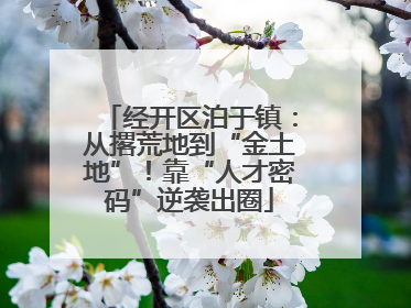 经开区泊于镇：从撂荒地到“金土地”！靠“人才密码”逆袭出圈