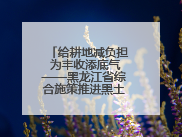 给耕地减负担 为丰收添底气——黑龙江省综合施策推进黑土地保护利用