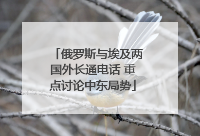 俄罗斯与埃及两国外长通电话 重点讨论中东局势