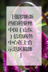俄罗斯新西伯利亚州中国（山东）信息商务中心在上合示范区揭牌