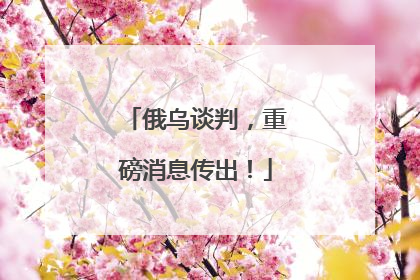 俄乌谈判，重磅消息传出！