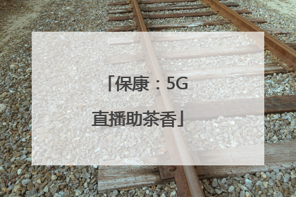 保康：5G直播助茶香