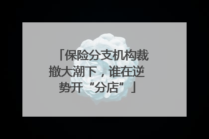 保险分支机构裁撤大潮下，谁在逆势开“分店”
