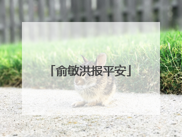 俞敏洪报平安