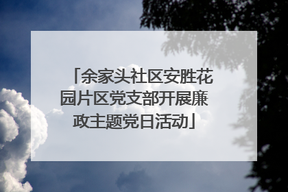 余家头社区安胜花园片区党支部开展廉政主题党日活动