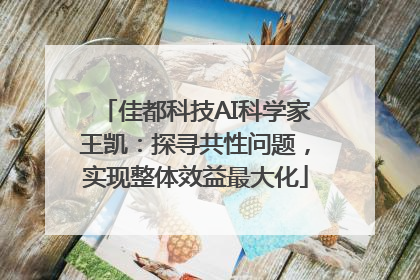 佳都科技AI科学家王凯：探寻共性问题，实现整体效益最大化