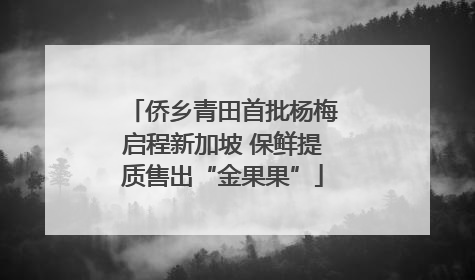 侨乡青田首批杨梅启程新加坡 保鲜提质售出“金果果”