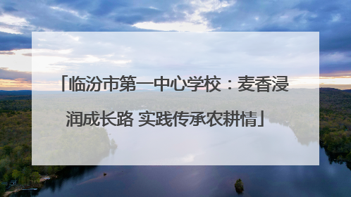 临汾市第一中心学校：麦香浸润成长路 实践传承农耕情