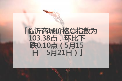 临沂商城价格总指数为103.38点，环比下跌0.10点（5月15日—5月21日）