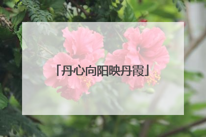 丹心向阳映丹霞