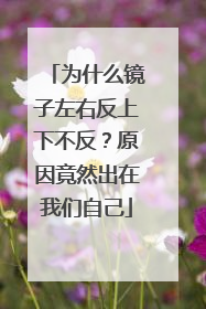 为什么镜子左右反上下不反？原因竟然出在我们自己