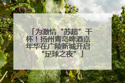 为激情“苏超”干杯！扬州青岛啤酒嘉年华在广陵新城开启“足球之夜”
