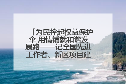 为民撑起权益保护伞 用情铺就和谐发展路——记全国先进工作者、新区项目建设中心干部卢小勇