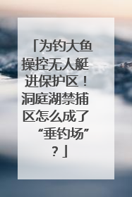 为钓大鱼操控无人艇进保护区！洞庭湖禁捕区怎么成了“垂钓场”？
