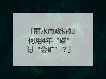 丽水市政协如何用4年“碳”讨“金矿”？