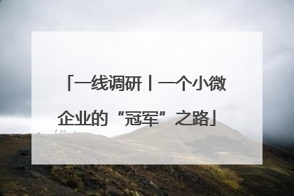 一线调研丨一个小微企业的“冠军”之路
