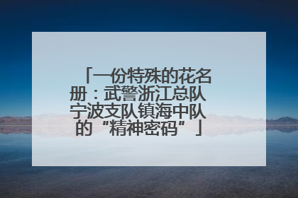 一份特殊的花名册：武警浙江总队宁波支队镇海中队的“精神密码”