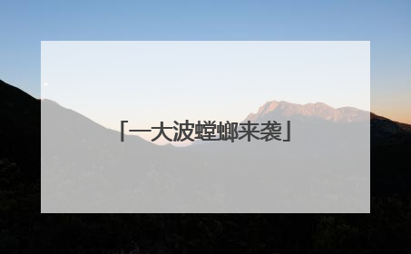 一大波螳螂来袭
