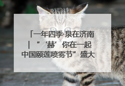 一年四季·泉在济南｜“‘赫’你在一起 中国颐莲喷雾节”盛大开启 共赴水润之约