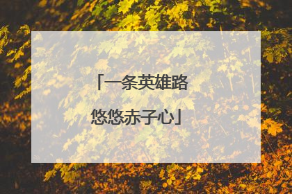 一条英雄路 悠悠赤子心
