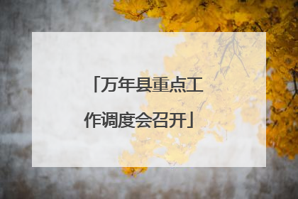 万年县重点工作调度会召开