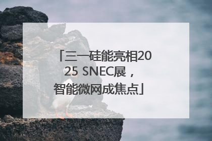三一硅能亮相2025 SNEC展，智能微网成焦点