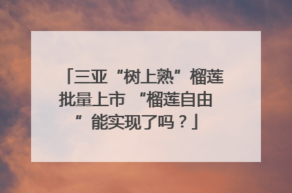 三亚“树上熟”榴莲批量上市 “榴莲自由”能实现了吗？
