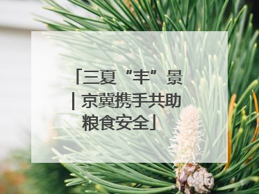 三夏“丰”景｜京冀携手共助粮食安全