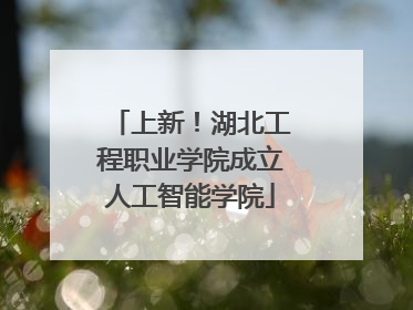 上新！湖北工程职业学院成立人工智能学院