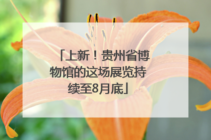 上新！贵州省博物馆的这场展览持续至8月底