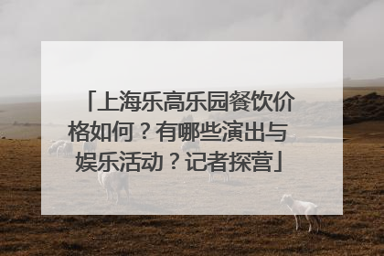 上海乐高乐园餐饮价格如何？有哪些演出与娱乐活动？记者探营