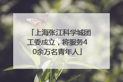 上海张江科学城团工委成立，将服务40余万名青年人