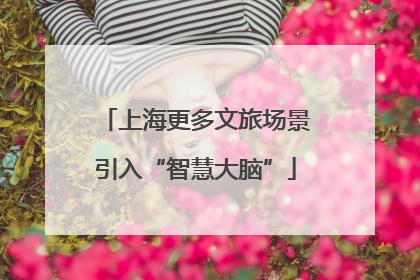 上海更多文旅场景引入“智慧大脑”