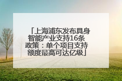 上海浦东发布具身智能产业支持16条政策：单个项目支持额度最高可达亿级