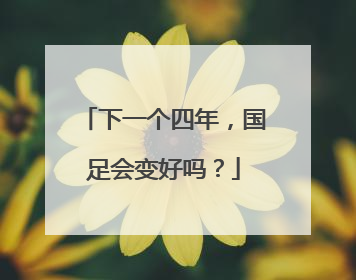 下一个四年，国足会变好吗？