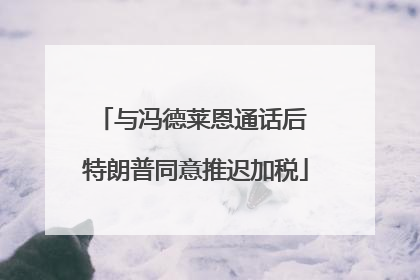 与冯德莱恩通话后 特朗普同意推迟加税