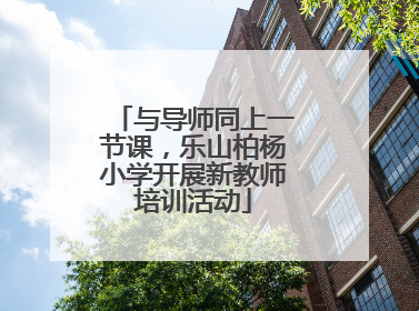 与导师同上一节课，乐山柏杨小学开展新教师培训活动