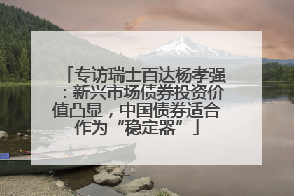 专访瑞士百达杨孝强：新兴市场债券投资价值凸显，中国债券适合作为“稳定器”