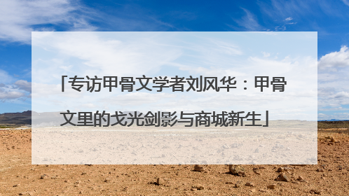 专访甲骨文学者刘风华：甲骨文里的戈光剑影与商城新生