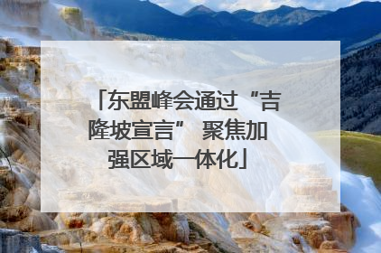 东盟峰会通过“吉隆坡宣言” 聚焦加强区域一体化