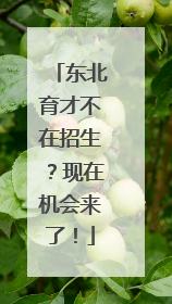 东北育才不在招生？现在机会来了！