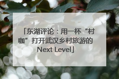 东湖评论：用一杯“村咖”打开武汉乡村旅游的Next Level