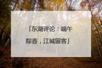东湖评论：端午粽香，江城留客