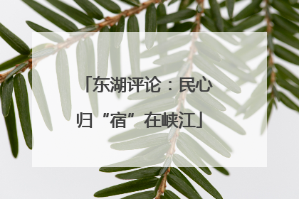 东湖评论：民心归“宿”在峡江