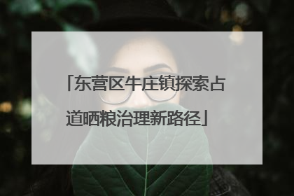 东营区牛庄镇探索占道晒粮治理新路径