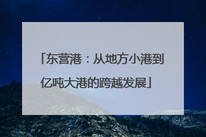 东营港：从地方小港到亿吨大港的跨越发展